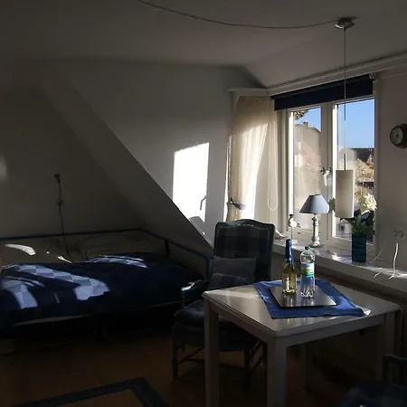 Lazy-Dolphin-10 Lägenhet